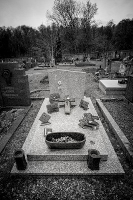 germaine causier friedhof audun le roman germaine causier friedhof audun le roman